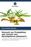 Versuch zur Produktion von Larven von Rycomphorus phoenecis