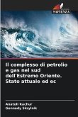 Il complesso di petrolio e gas nel sud dell'Estremo Oriente. Stato attuale ed ec