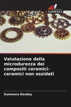 Valutazione della microdurezza dei compositi ceramici-ceramici non ossidati - Banday, Summera