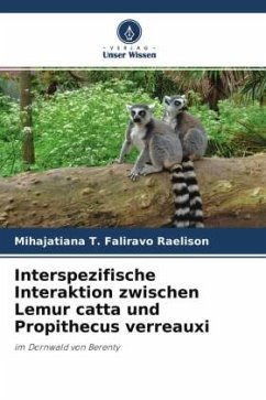 Interspezifische Interaktion zwischen Lemur catta und Propithecus verreauxi - Faliravo Raelison, Mihajatiana T.