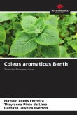 Coleus aromaticus Benth
