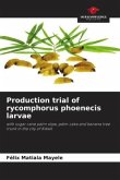 Production trial of rycomphorus phoenecis larvae