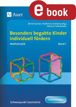 Begabte Kinder individuell fördern, Mathe Band 1 (eBook, PDF) - H. Tiefenthaler