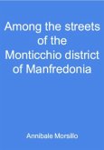 Among the streets of the Monticchio district of Manfredonia (eBook, ePUB)