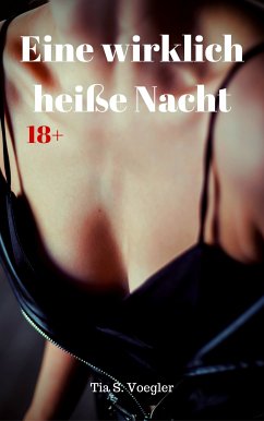 Eine wirklich heiße Nacht (eBook, ePUB) - Voegler, Tia S.