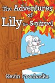The Adventures of Lily the Squirrel