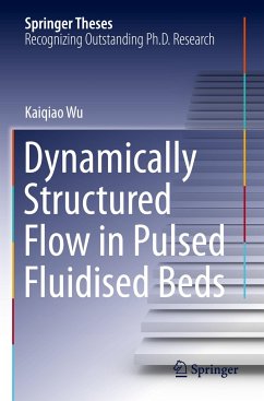 Dynamically Structured Flow in Pulsed Fluidised Beds - Wu, Kaiqiao