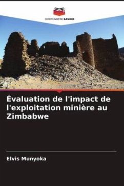 Évaluation de l'impact de l'exploitation minière au Zimbabwe - Munyoka, Elvis