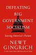 Defeating Big Government Socialism... - Bild 1