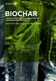 BioChar (eBook, PDF)