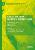 Business and Policy Solutions to Climate Change (eBook, PDF)
