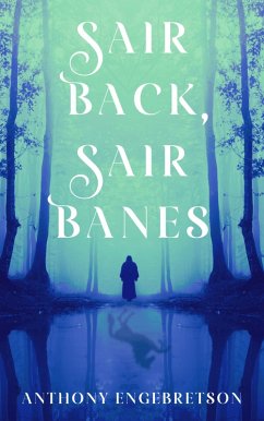 Cover Sair Back, Sair Banes (eBook, ePUB)