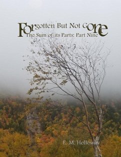 Forgotten But Not Gone (eBook, ePUB) - Holloway, E. M.