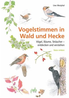 Vogelstimmen in Wald und Hecke (eBook, ePUB) - Westphal, Uwe