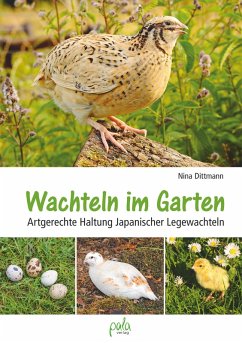 Wachteln im Garten (eBook, ePUB) - Dittmann, Nina