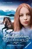 Verborgene Gefühle / Pferdeflüsterer Academy Bd.11