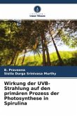 Wirkung der UVB-Strahlung auf den primären Prozess der Photosynthese in Spirulina