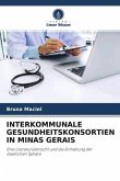 INTERKOMMUNALE GESUNDHEITSKONSORTIEN IN MINAS GERAIS