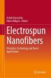 Electrospun Nanofibers - Bild 1