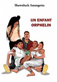 Un enfant orphelin (eBook, ePUB)