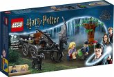LEGO® Harry Potter – Hogwarts™ Kutsche mit Thestralen 76400