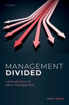 Management Divided (eBook, ePUB) - Vidal, Matt