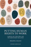 Putting Human Rights to Work (eBook, ePUB)