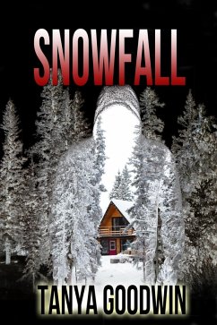 Cover Snowfall (eBook, ePUB)