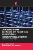 Comportamento excitante em nanobóias assimétricas