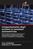 Comportamento degli eccitoni in nanobasi asimmetriche