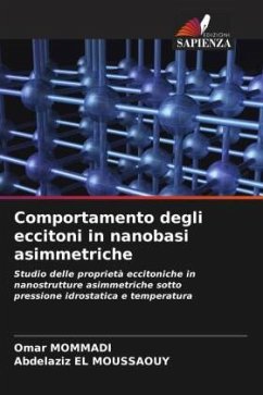 Comportamento degli eccitoni in nanobasi asimmetriche - MOMMADI, Omar;EL MOUSSAOUY, Abdelaziz