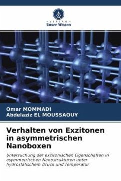 Verhalten von Exzitonen in asymmetrischen Nanoboxen - MOMMADI, Omar;EL MOUSSAOUY, Abdelaziz