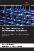 Exciton behavior in asymmetric nanoboats