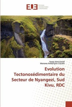 Evolution Tectonosédimentaire du Secteur de Nyangezi, Sud Kivu, RDC - Amri Gentil, Faraja;Ambangito Claudio, Manawa