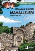 Istanbul Surdibi Mahalleleri