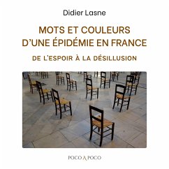 Mots et couleurs d'une épidémie en France - Lasne, Didier