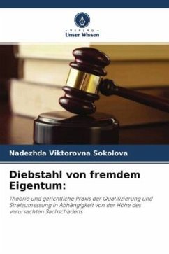 Cover Diebstahl von fremdem Eigentum: