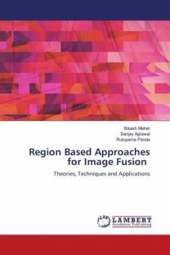 Region Based Approaches for Image Fusion