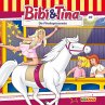 Die Pferdeprinzessin (MP3-Download) - Bild 1
