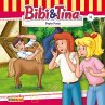 Papis Pony (MP3-Download) - Bild 1