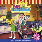 Ohne Mami geht es nicht (MP3-Download)