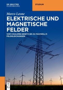 Elektrische und magnetische Felder - Leone, Marco