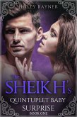 The Sheikh's Quintuplet Baby Surprise (eBook, ePUB)