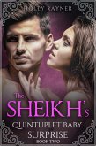 The Sheikh's Quintuplet Baby Surprise (Book Two) (eBook, ePUB)