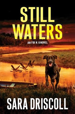 Still Waters (eBook, ePUB) - Driscoll, Sara