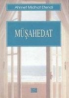 Müsahedat - Mithat Efendi, Ahmet