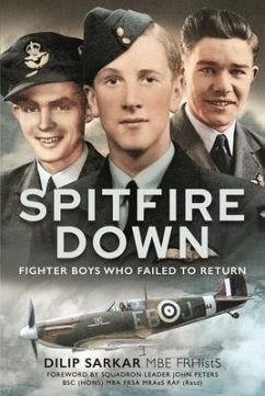 Spitfire Down - Sarkar, Dilip