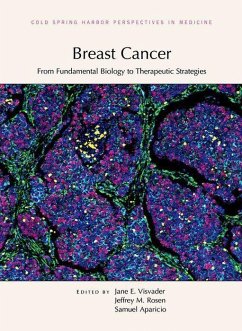 Cover Breast Cancer: From Fundamental Biology to Therapeutic Strategies