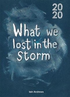 What We Lost In The Storm - Andrews, Iain