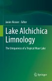 Lake Alchichica Limnology (eBook, PDF)